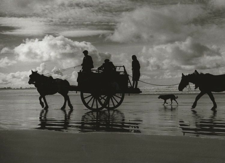 Foto di un carretto trainato da cavallo - FINISTERE, FRANCIA 1956